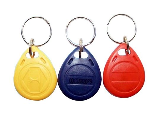 Gepersonaliseerde grootte RFID Key Fob Tag 13.56MHz 125KHZ met SLI SLI-X chip